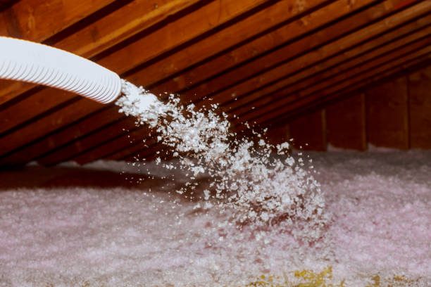 Best Geographic-Specific Insulation Services in Scobey, MT
