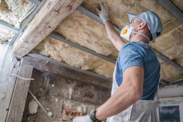 Best Eco-Friendly Insulation in Scobey, MT