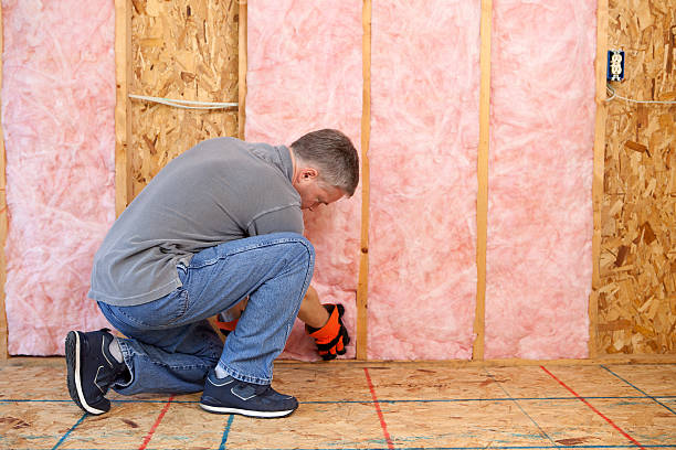 Best Cellulose Insulation in Scobey, MT