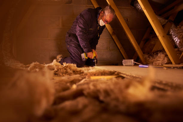 Best Residential Insulation in Scobey, MT